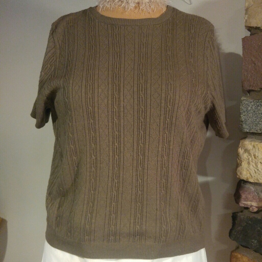 Short Sleeve Taupe Sweater.